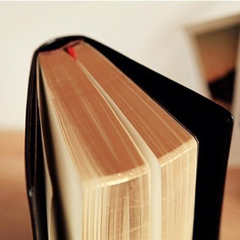 Quaderno della Bibbia in pelle - Leather Work Notepad recensione e prezzo